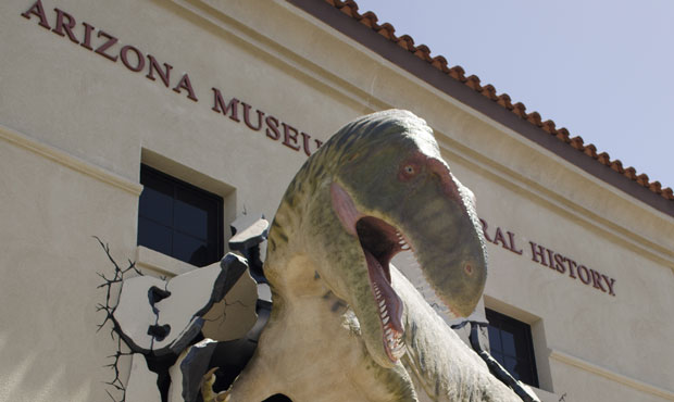 (City of Mesa Photo)...