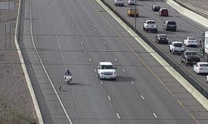 Loose dog shuts down traffic on busy Phoenix freeway