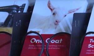 Mormon church debuts 'giving machines' in Gilbert for donations
