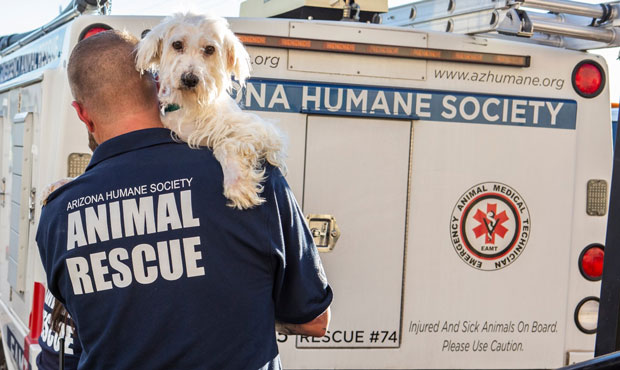 (Twitter Photo/@azhumane)...