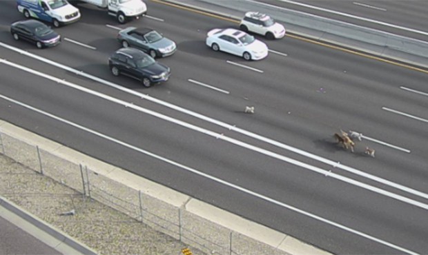 (ADOT camera)...