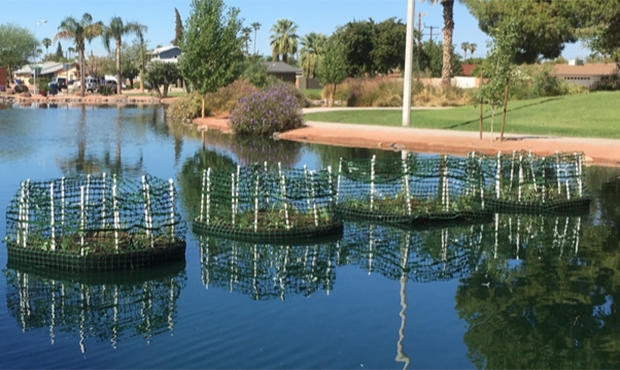 (City of Tempe Photo)...