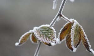 Bundle up for wet New Year's Eve, rest of cold week in metro Phoenix
