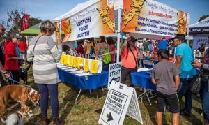 Fourth annual Doggie Street Festival to take place Saturday in Phoenix