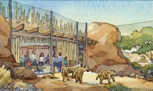 Phoenix Zoo to put $1M donation toward lion, hyena habitat