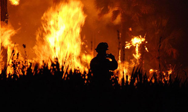 (U.S. Fish and Wildlife Service Photo)...