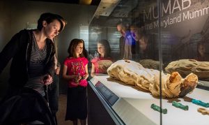 40 mummies arrive at Arizona Science Center for new exhibition