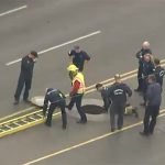 storm-drain-rescue