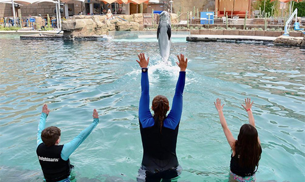 (Facebook/Dolphinaris Arizona)...