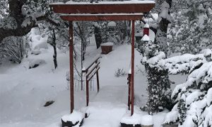 Flagstaff breaks one-day record as snow blankets high country