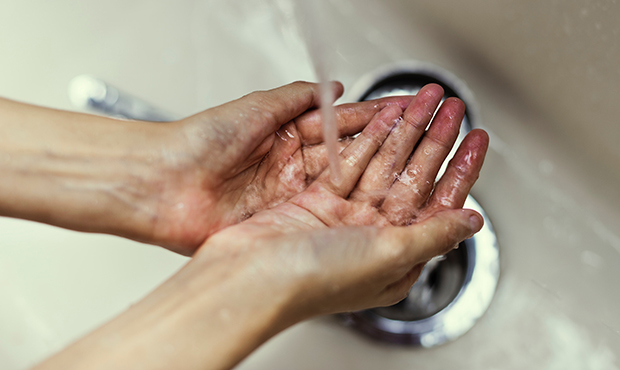Related Window leaks, warning signs every homeowner should watch forA healthier home starts with co...
