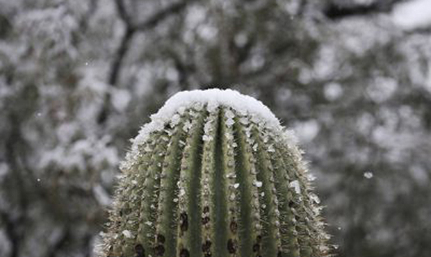 (Mike Christy/Arizona Daily Star via AP)...