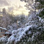 weather-strawberry-az-twitter-feb2019