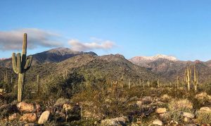 COVID-19 closures cause overcrowding of Maricopa County regional parks