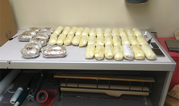 (Pinal County Sheriff's Office photo)...