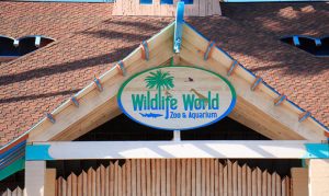 Woman taking selfie attacked by jaguar at Wildlife World Zoo