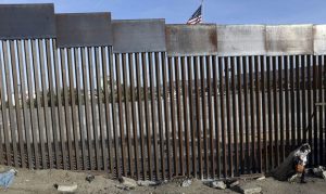 Border Patrol union chief prefers courts decide Trump wall emergency