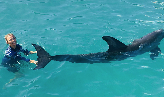 (Facebook/Coral World Ocean Park)...