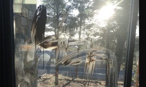 Flagstaff synagogue targeted in hate crime, damaged with swastikas