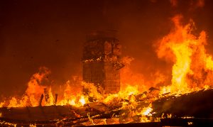Arizona experts warn of increased fire danger after heavy rains