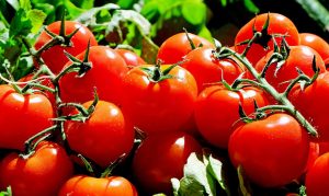 Arizona lawmakers urge Trump official to protect Mexican tomato imports