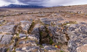 ‘Cold’: Theory of Susan Powell in Nutty Putty Cave debunked