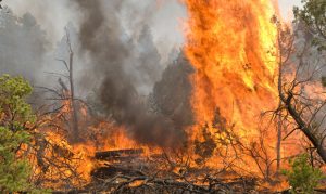 Officials warn of high fire risk this week in Phoenix area and beyond