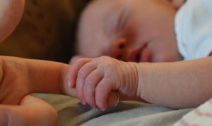 Newborn baby turned over at Phoenix fire station under safe haven law