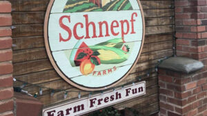 Schnepf Farms adds new attractions for Pumpkin & Chili Party