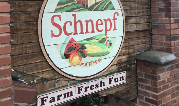 (Facebook Photo/Schnepf Farms)...