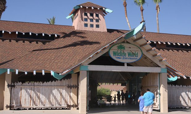 (Wildlife World Zoo Photo)...