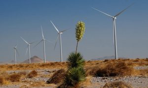 Arizona utility cranking up renewable energy with new wind farm