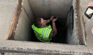 DPS trooper rescues ducklings from storm drain on Arizona freeway