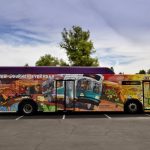 ValleyMetrocontest
