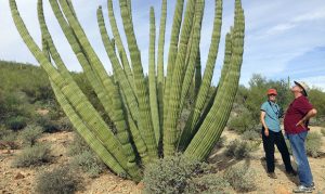 Arizona ranks No. 34 on website's list of best states
