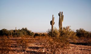 Phoenix set for abnormally low high temperature on Monday