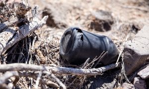 Arizona desert can be deadly for crossing migrants, US officials warn