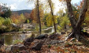 Overnight use banned at campsites 'loved to death' in Payson area