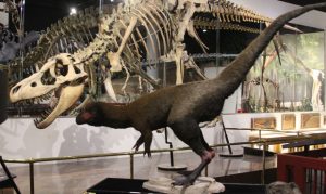 Former Mesa museum volunteer documents key dinosaur discovery