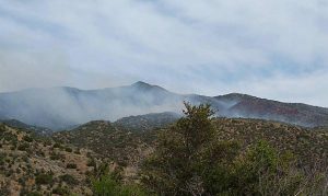 Arizona wildfire burning near forest grows to 162 acres
