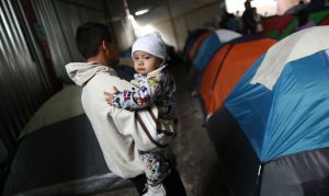 DHS to implement DNA test program to detect fake migrant families
