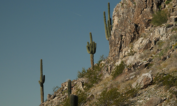 (KTAR News/Matt Bertram)...