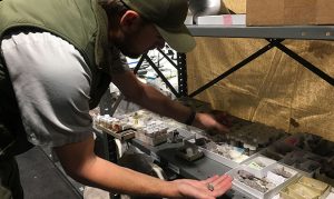 Rare frog fossil sheds light on a gap in Arizona geologic record