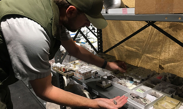 Adam Marsh, lead paleontologist at the Petrified Forest National Park, discovered the oldest fossil...