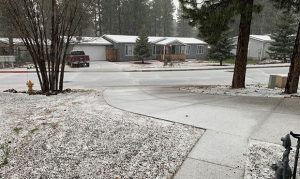 Springtime snow falls in northern Arizona, bit more likely to come