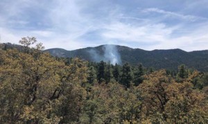 Prescott Hotshots working toward containment of Tritle Fire