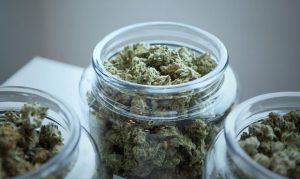 Tempe startup scores $10M in funding for marijuana payment system