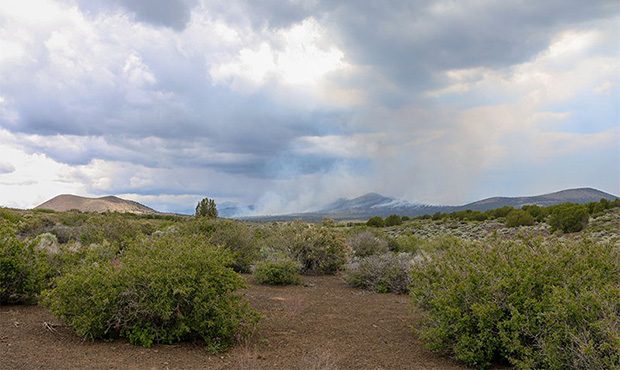 (Dylan Simard/Cronkite News)...