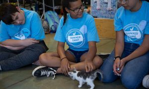 Phoenix campers learning about compassionate care of animals
