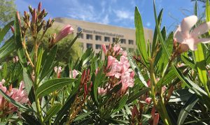 Banner Urgent Care set for opening in downtown Phoenix
